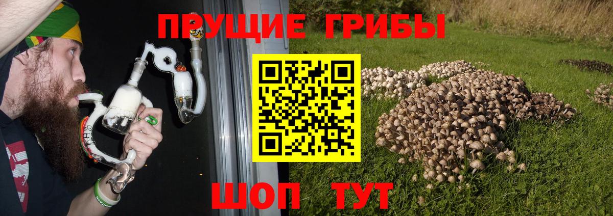 Галлюциногенные грибы MAGIC MUSHROOMS  Вход с VPN  Лесосибирск 