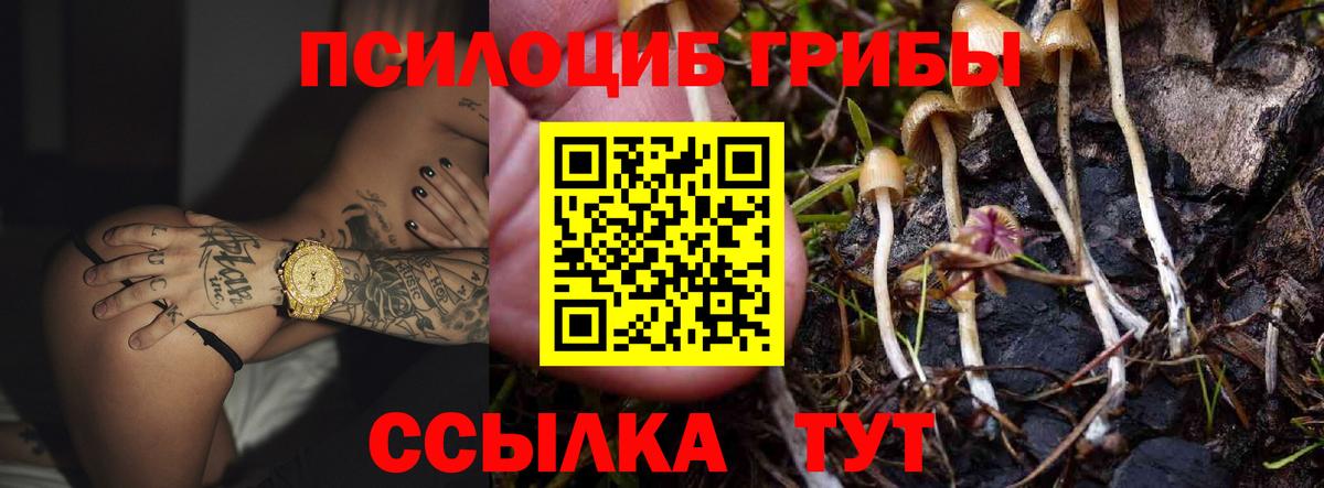 Псилоцибиновые грибы GOLDEN TEACHER Лесосибирск